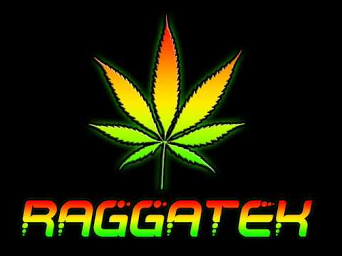 Playlist Raggatek / Jungletek